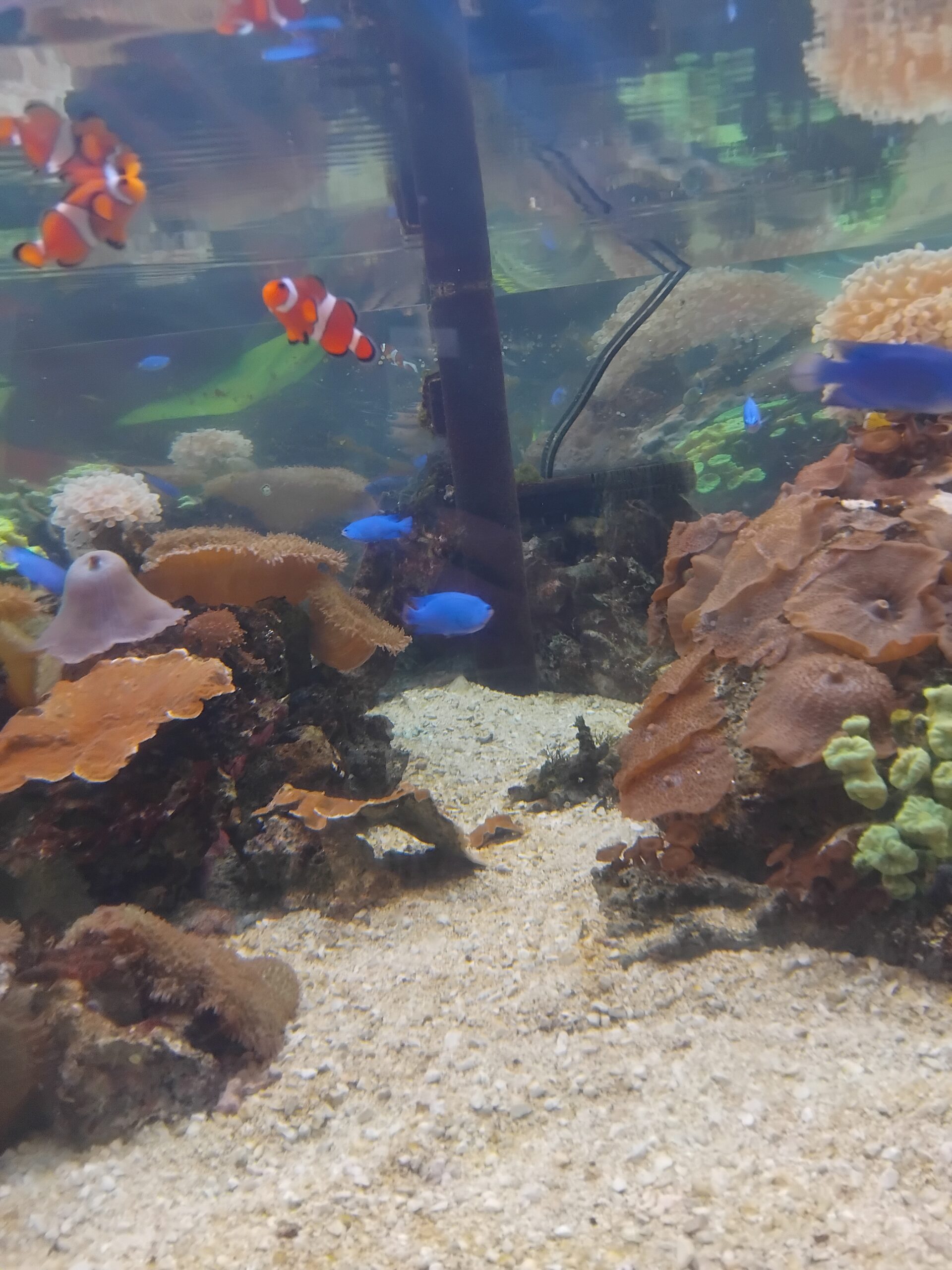 Year 8 Learners Dive into Learning at Bournemouth Oceanarium